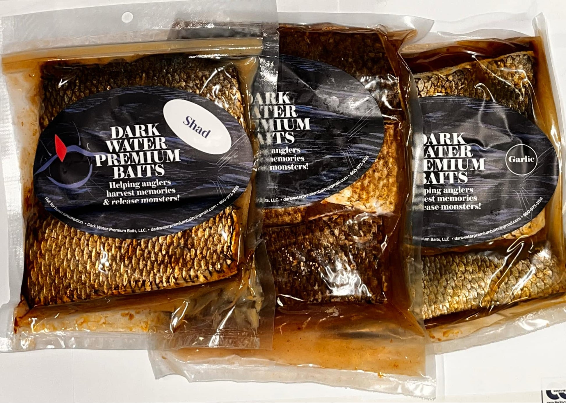 Dark Water Premium Preserved Bait Catfish – Maci's Fish 'n Finds